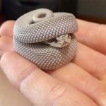 Snek