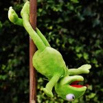 Kermit The Frog