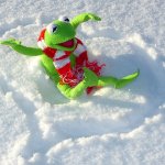 Kermit Snow