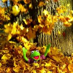 Kermit Autum