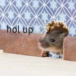 hol up mouse meme