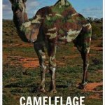 Camelflage template