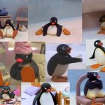 pingu aesthetic :D