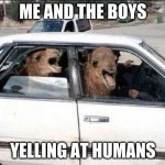 Quit Hatin | ME AND THE BOYS; YELLING AT HUMANS | image tagged in memes,quit hatin | made w/ Imgflip meme maker