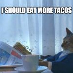 I should eat more tacos | I SHOULD EAT MORE TACOS | image tagged in cat newspaper,tacos | made w/ Imgflip meme maker