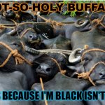 NOT-SO-HOLY BUFFALO; IT'S BECAUSE I'M BLACK ISN'T IT? | NOT-SO-HOLY BUFFALO; IT'S BECAUSE I'M BLACK ISN'T IT? | image tagged in the not-so-holy buffalo | made w/ Imgflip meme maker