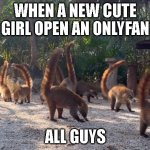 a new Onlyfan page? | WHEN A NEW CUTE GIRL OPEN AN ONLYFAN; ALL GUYS | image tagged in tail up,onlyfans | made w/ Imgflip meme maker