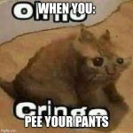 OH NO CRINGE | WHEN YOU:; PEE YOUR PANTS | image tagged in oh no cringe | made w/ Imgflip meme maker