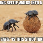 Dung beetle | A DUNG BEETLE WALKS INTO A BAR; AND SAYS: “IS THIS STOOL TAKEN?” | image tagged in dung beetle | made w/ Imgflip meme maker