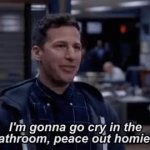 Cry in the bathroom GIF Template