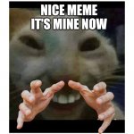 the cat took the meme | NICE MEME IT'S MINE NOW | image tagged in the cat took the meme | made w/ Imgflip meme maker