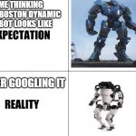 AFTER HEARING WHAT BOSTON DYNAMIC ARE DOING!! | ME THINKING HOW BOSTON DYNAMIC ROBOT LOOKS LIKE AFTER GOOGLING IT | image tagged in expectation vs reality,funny memes,meme,reality | made w/ Imgflip meme maker