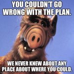 ALF meme | YOU COULDN’T GO WRONG WITH THE PLAN. WE NEVER KNEW ABOUT ANY PLACE ABOUT WHERE YOU COULD. | image tagged in alf | made w/ Imgflip meme maker