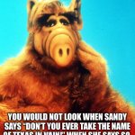 ALF comments on SpongeBob SquarePants clip | YOU WOULD NOT LOOK WHEN SANDY SAYS “DON’T YOU EVER TAKE THE NAME OF TEXAS IN VAIN!” WHEN SHE SAYS SO. | image tagged in alf the alien | made w/ Imgflip meme maker