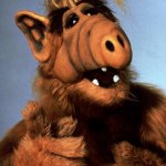 ALF meme | MIND IF I SAY SOMETHING THAT I WOULD TELL YOU. | image tagged in alf | made w/ Imgflip meme maker