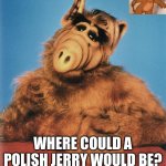 ALF meme 2 | WHERE COULD A POLISH JERRY WOULD BE? IT’S JUST A CARTOON. | image tagged in alf | made w/ Imgflip meme maker