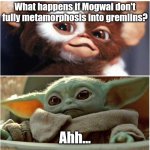 Gizmo and Baby Yoda | What happens if Mogwai don't fully metamorphosis into gremlins? Ahh... | image tagged in gizmo and baby yoda | made w/ Imgflip meme maker