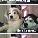 Bad pun dogs | BEFORE THE CROW BAR WAS INVENTED CROWS HAD TO DRINK AT HOME Here it comes... | image tagged in bad pun dogs | made w/ Imgflip meme maker