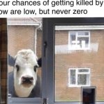 Death by cow meme
