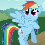 Fangirl Rainbow Dash (MLP)