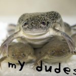 mYdudes_dudes