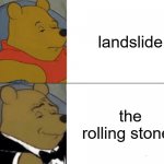 rocky behaviour | landslide the rolling stones | image tagged in memes,tuxedo winnie the pooh | made w/ Imgflip meme maker