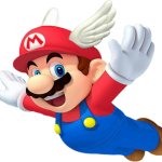 Mario wing hat