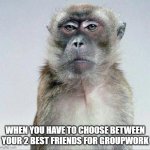 Blank face stare | WHEN YOU HAVE TO CHOOSE BETWEEN YOUR 2 BEST FRIENDS FOR GROUPWORK | image tagged in blank face stare | made w/ Imgflip meme maker