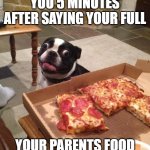 You Can't Lie | YOU 5 MINUTES AFTER SAYING YOUR FULL; YOUR PARENTS FOOD | image tagged in hungry pizza dog | made w/ Imgflip meme maker