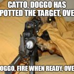 Doggo snipes | CATTO, DOGGO HAS SPOTTED THE TARGET, OVER; DOGGO, FIRE WHEN READY, OVER | image tagged in funny animals,doggo | made w/ Imgflip meme maker