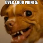 smug dog | FINALLY GETTING OVER 1,000 POINTS: | image tagged in smug dog | made w/ Imgflip meme maker