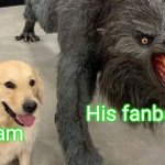 The Dream Fanbase in a nutshell | His fanbase; Dream | image tagged in dog next to werewolf,dream,dream smp | made w/ Imgflip meme maker