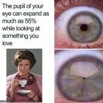 Eye pupil expansion | image tagged in eye pupil expansion,harry potter,dolores umbridge | made w/ Imgflip meme maker