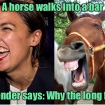 AOC horse face Alexandria Ocasio-Cortez | A horse walks into a bar; Bartender says: Why the long face? | image tagged in aoc horse face alexandria ocasio-cortez | made w/ Imgflip meme maker
