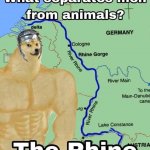 What separates men from animals the Rhine meme