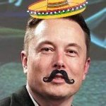 mexico musk