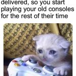Just got my new one today... | When your waiting for your new Xbox to be delivered, so you start playing your old consoles for the rest of their time | image tagged in cat gamer | made w/ Imgflip meme maker