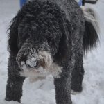 mmmsnow