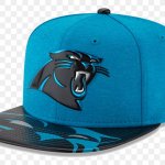 Panthers cap