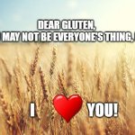 gluten is good | DEAR GLUTEN, 
YOU MAY NOT BE EVERYONE'S THING, BUT; I                  YOU! | image tagged in wheat field | made w/ Imgflip meme maker