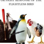 Never trigger a flightless bird