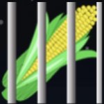 Corn jail