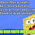 Wormy is a lot scarier | Butterflies actually have been known to drink sweat, tears and even the blood of dead animals. THIS HAS BEEN FACTS WITH SPONGEBOB | image tagged in spongebob facts,facts with spongebob | made w/ Imgflip meme maker