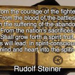 fraught with destiny | From the courage of the fighters
From the blood of the battles,
From the suffering of the abandoned,
From the nation's sacrifices,
Shall grow forth a spirit-fruit,
If souls will lead, in spirit-consciousness,
Their mind and heart into the spirit-realm. Rudolf Steiner | image tagged in fraught with destiny | made w/ Imgflip meme maker