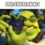 haha screenshot go brrrrrrr | POV: YOU'RE AN NFT | image tagged in nft,memes,oh wow are you actually reading these tags | made w/ Imgflip meme maker