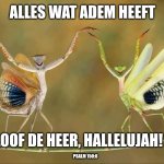 Praise the Lord | ALLES WAT ADEM HEEFT; LOOF DE HEER, HALLELUJAH! PSALM 150:6 | image tagged in praise,breath,christianity,christian | made w/ Imgflip meme maker