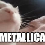 catallica | METALLICA | image tagged in gifs,memes,catjam | made w/ Imgflip video-to-gif maker