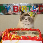Sloth happy birthday grumpy cat meme