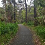 Trail