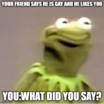 Kermit The Frog Cringing  | YOUR FRIEND SAYS HE IS GAY AND HE LIKES YOU; YOU:WHAT DID YOU SAY? | image tagged in kermit the frog cringing | made w/ Imgflip meme maker